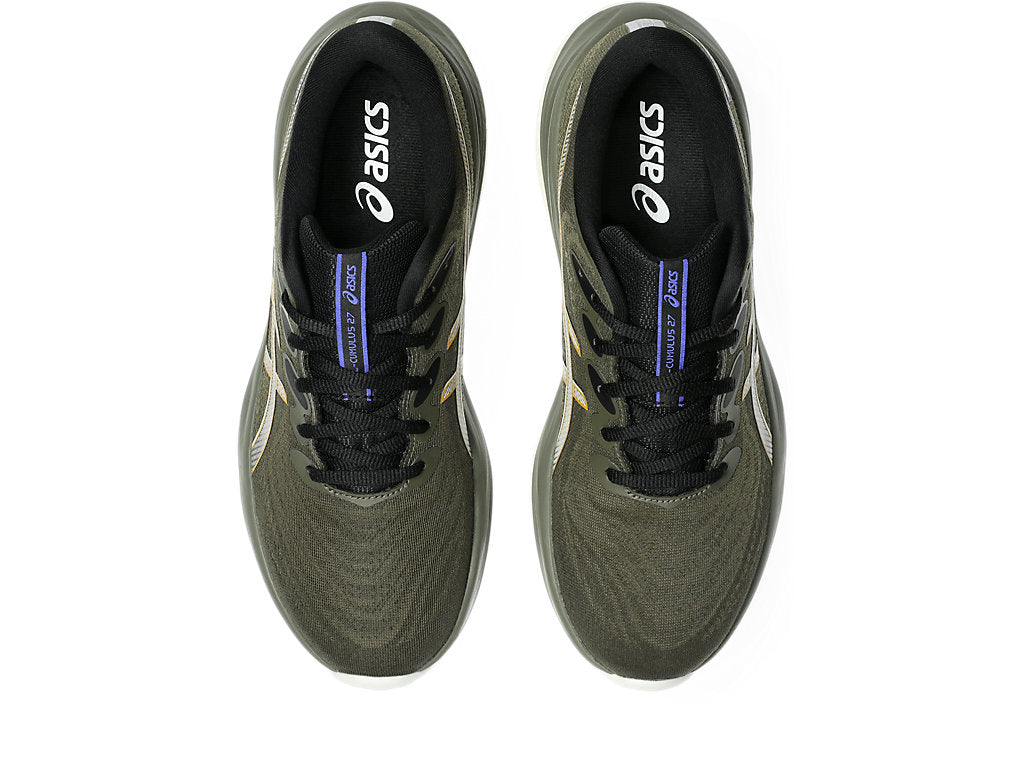 Asics Men's GEL-CUMULUS 27 GTX Running Shoes in Brown Stone/Whisper Green