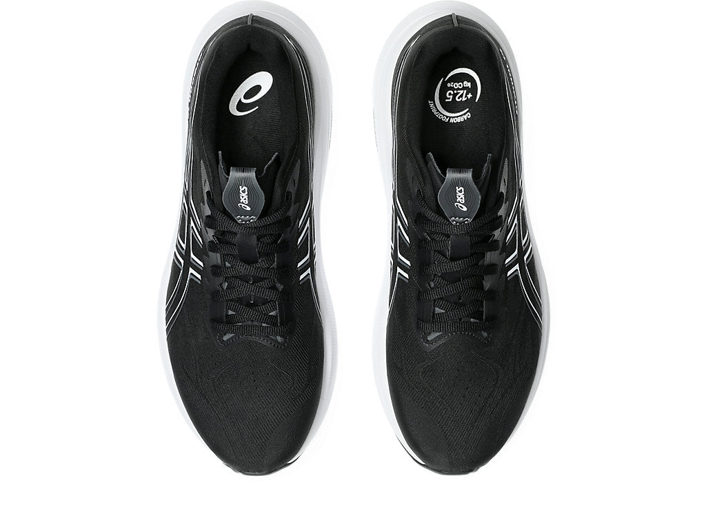 Asics Men's GT-2000 14 Wide (2E) Running Shoes in Black/White