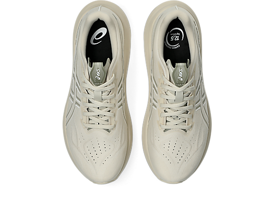 Asics Men's GT-2000 14 Running Shoes in Oatmeal/White