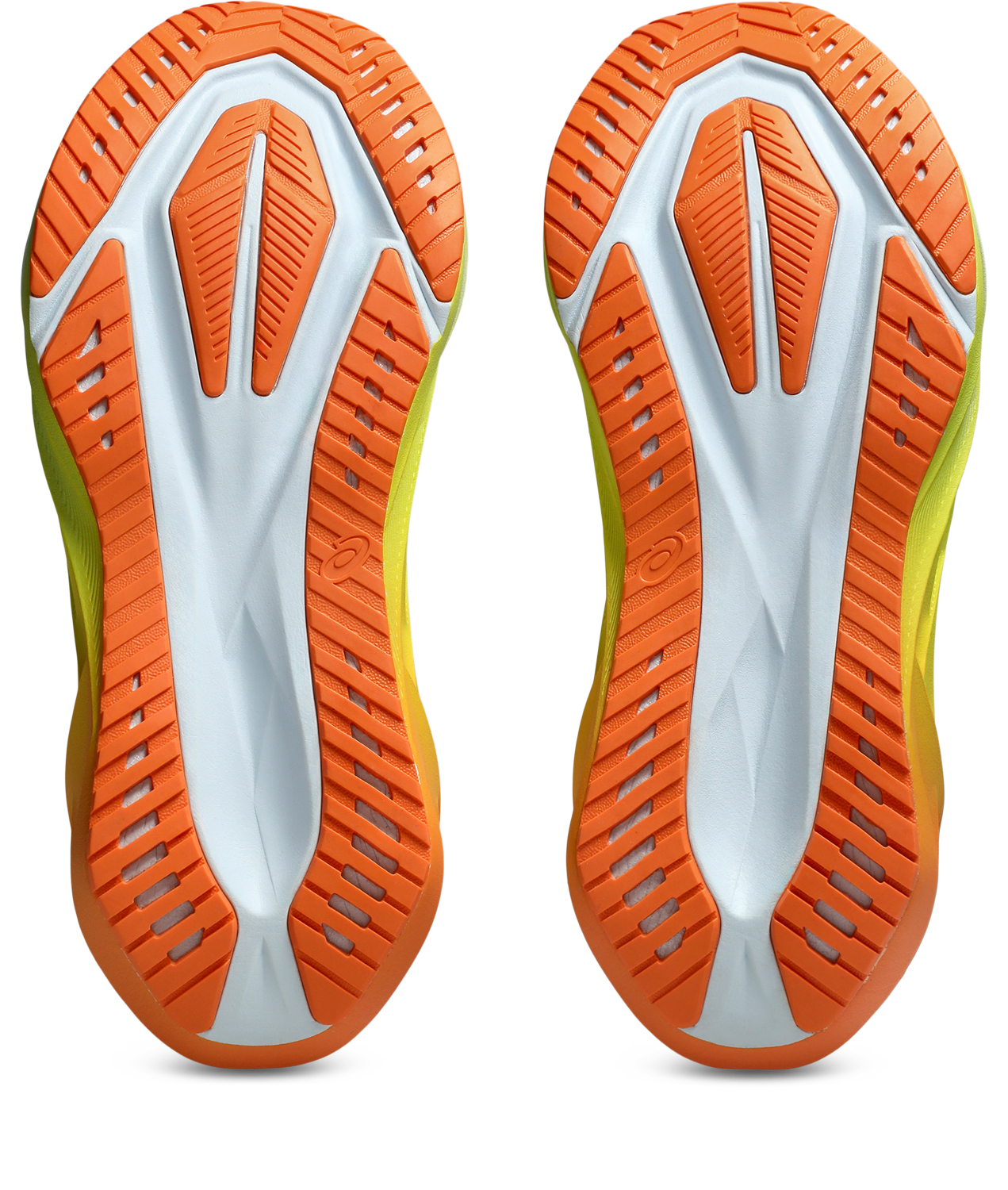 Asics Men's NOVABLAST 5 Running Shoes in Sky/Lemon Spark