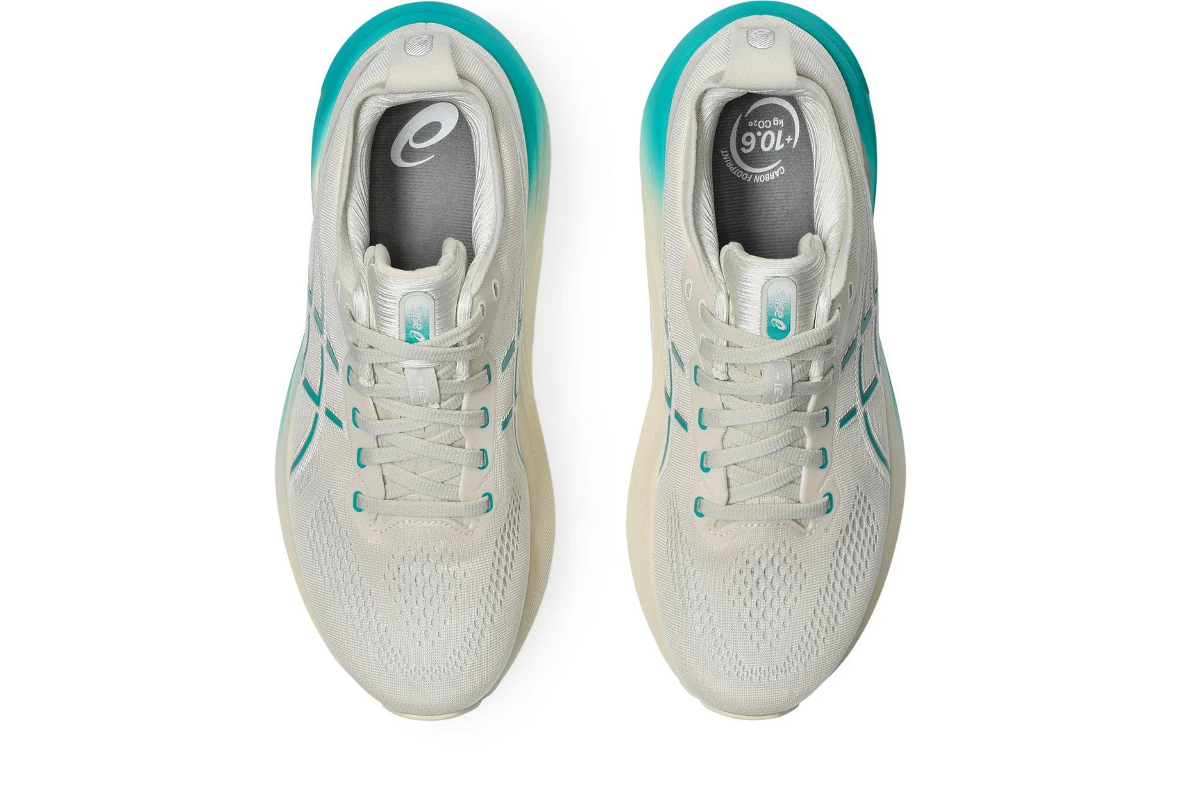 Asics Men's GEL-KAYANO 31 Running Shoes in Birch/Wave Teal