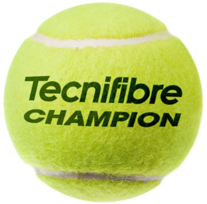 Tecnifibre Champion All Court Tennis Balls 3 Ball Can
