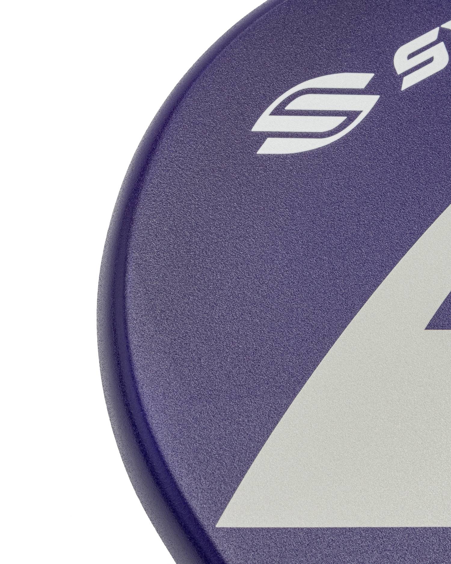 Selkirk AMPED Pro Air Epic Pickleball Paddle in Purple