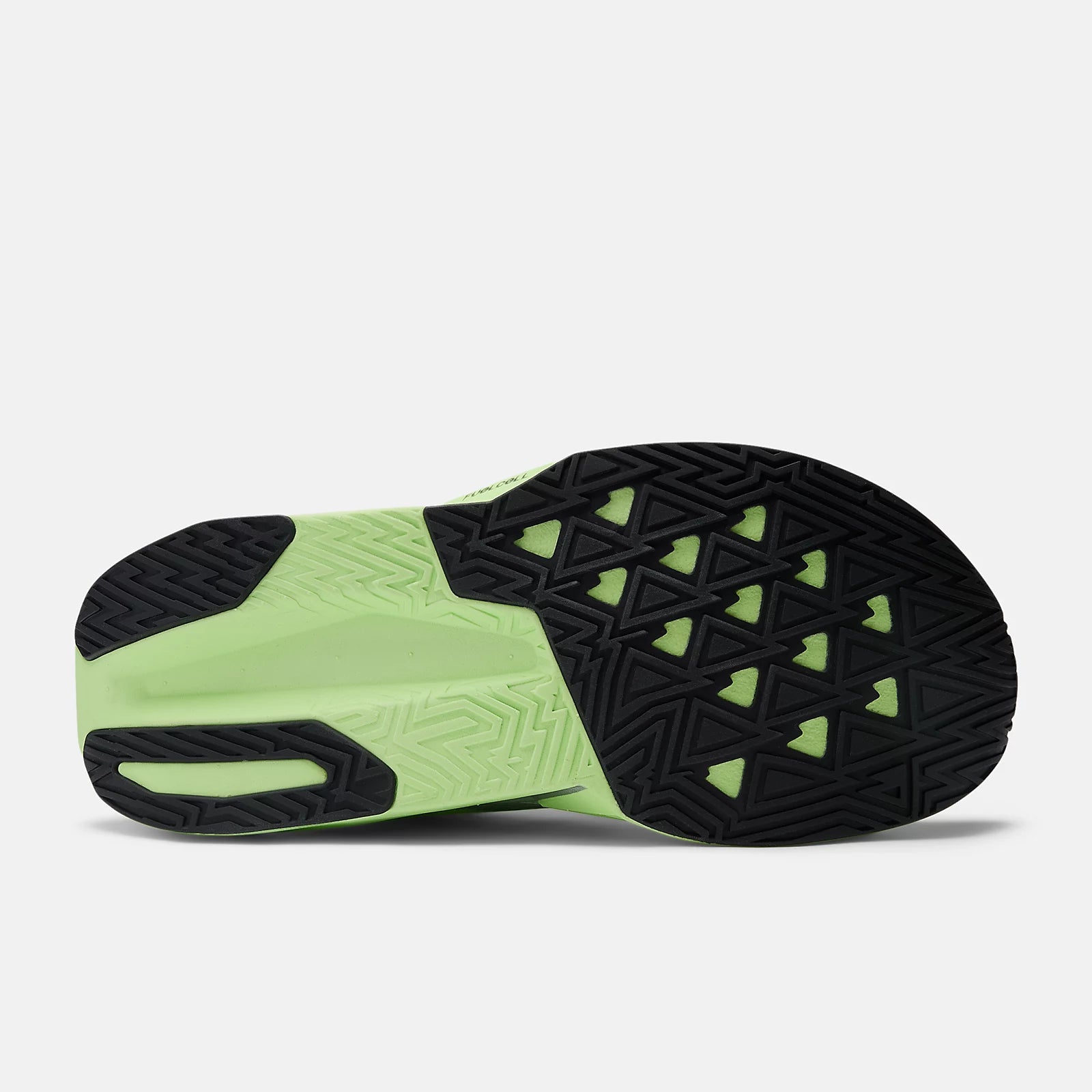 New Balance Women's FuelCell Rebel v5 in Lab Green