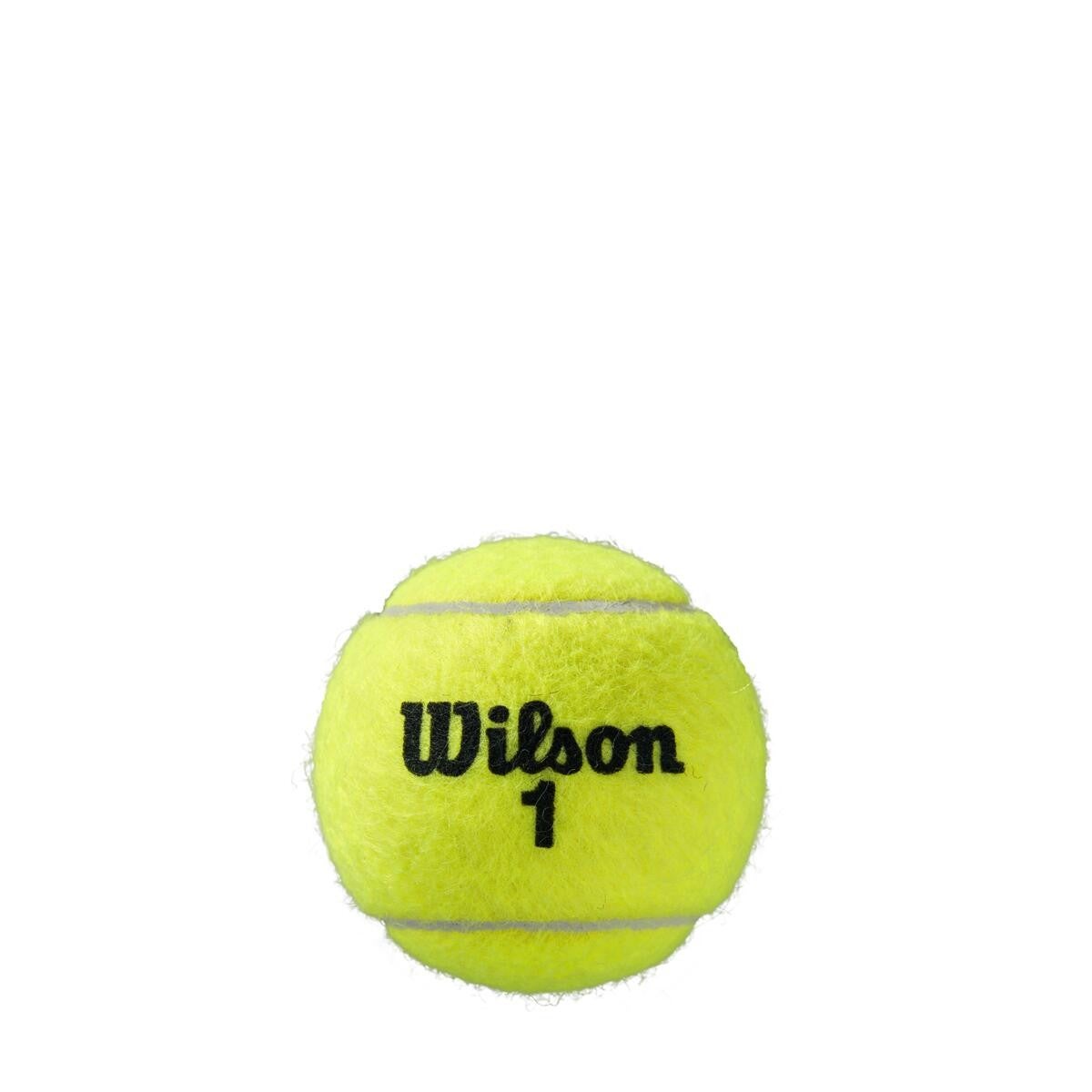 Wilson Roland Garros Clay Court Tennis Ball - 3 Ball Can