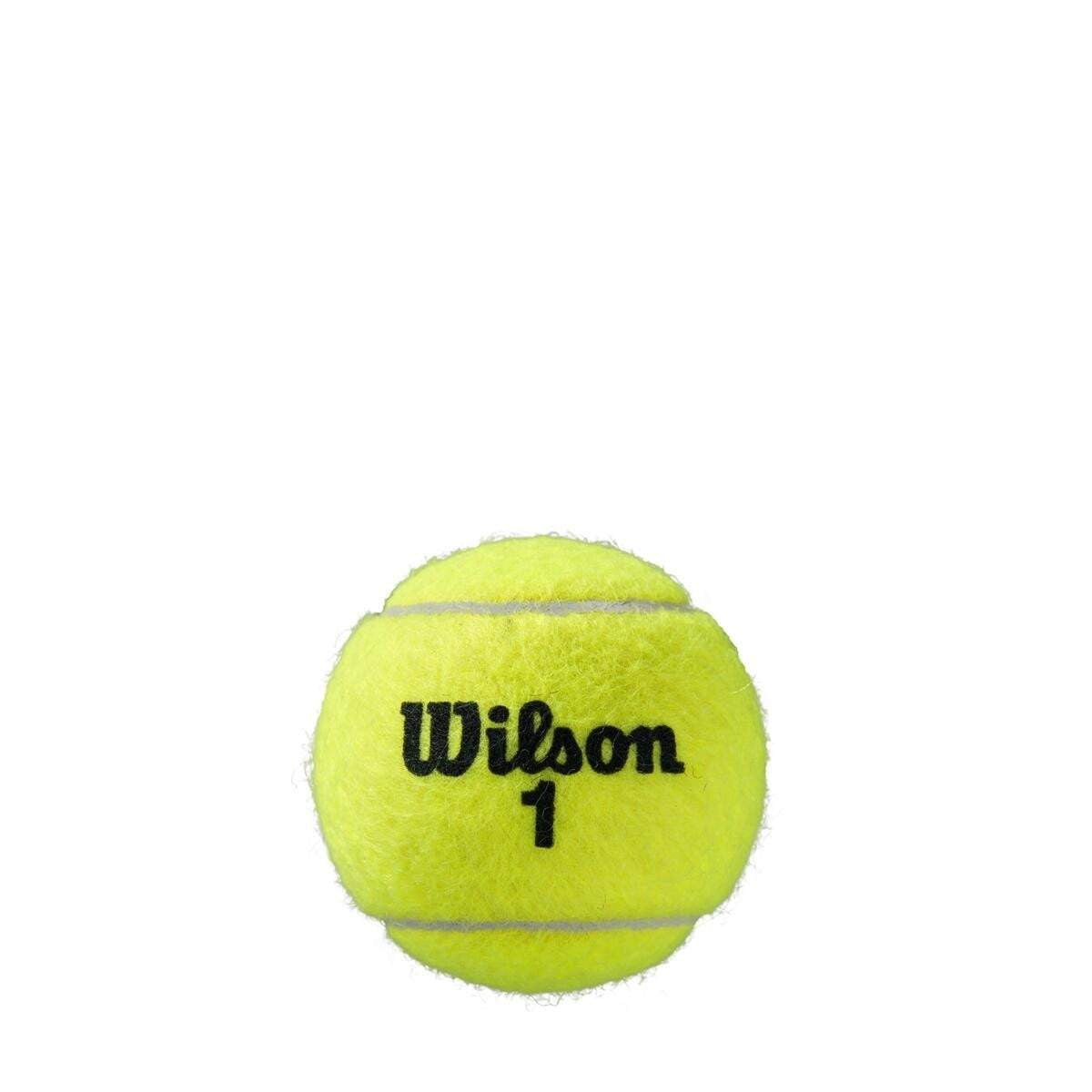 Wilson Roland Garros All Court Tennis Ball Case - 24 Cans - Tennis Ball - Wilson - ATR Sports